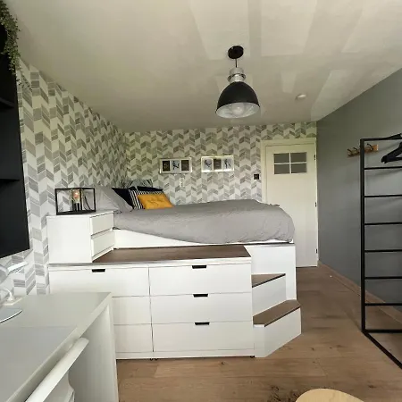Bed & Bokes Aan De Maaskant Bed & Breakfast